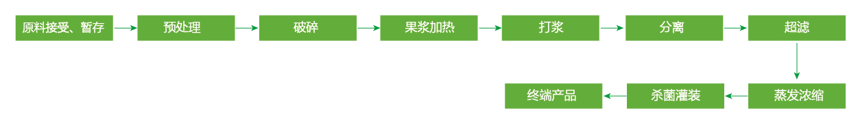 藍(lán)莓、草莓、桑葚濃縮汁